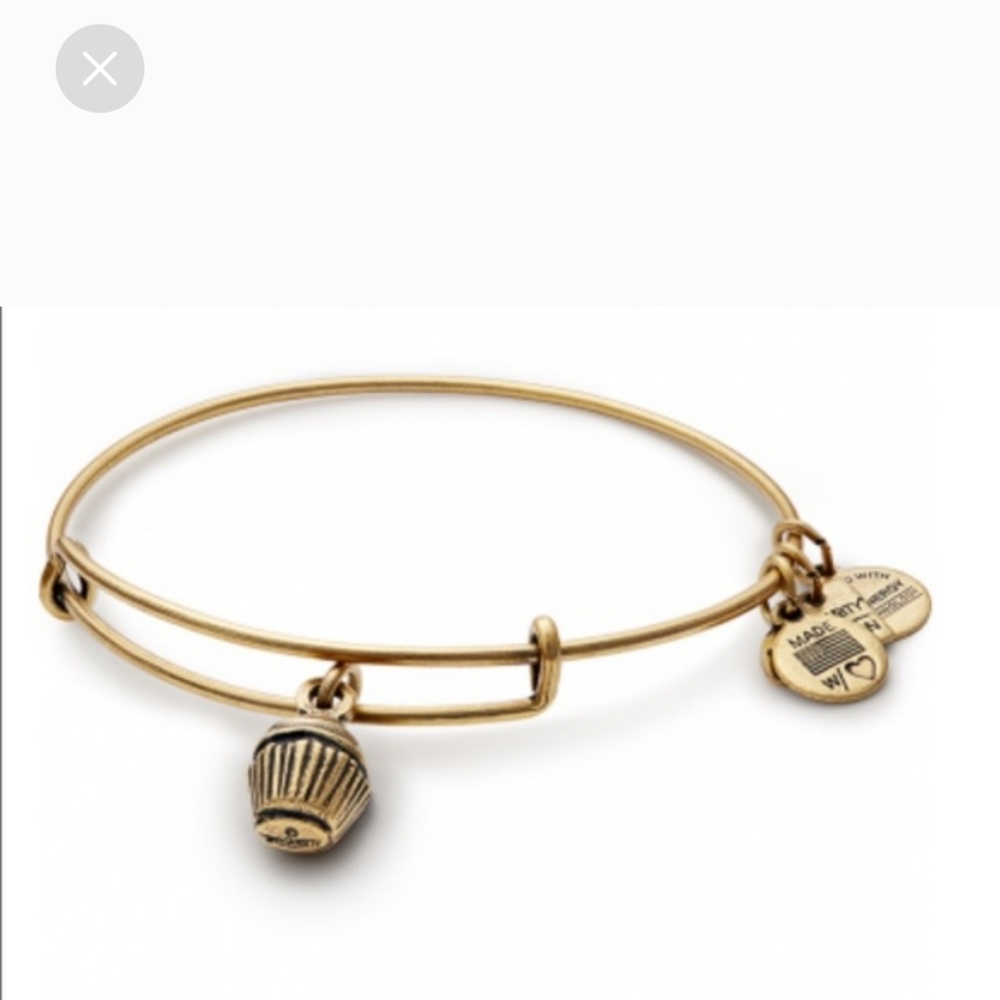 NWT Alex and Ani Bangle